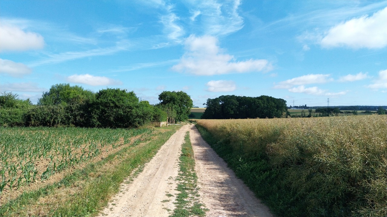 toporamapaysagistes-site-archeologique-de-chateaubleau_chateaubleau_toporama_sanctuaire_260614_si.jpg